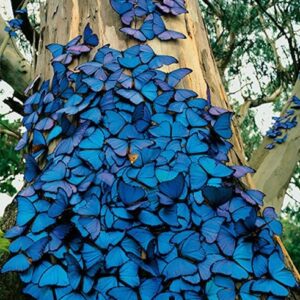 Kevin Hudson Photography